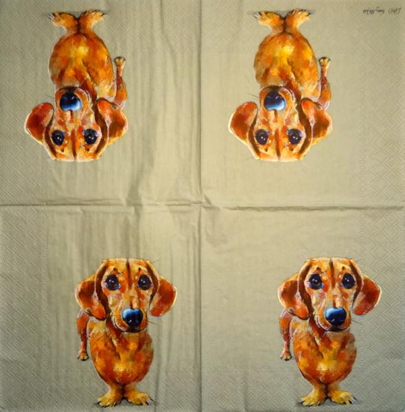 HUN-015 Hunde - 3-lagig - Ihr - Nicky Litchfield